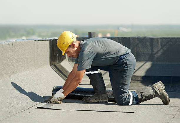 Best Insulation Materials and Products in Dunn Loring, VA