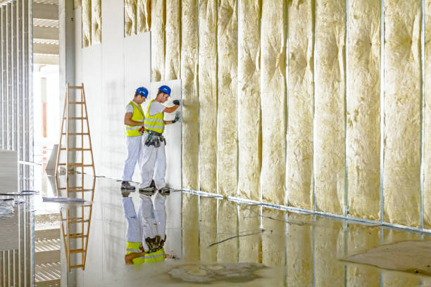 Best Types of Insulation in Dunn Loring, VA
